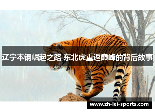辽宁本钢崛起之路 东北虎重返巅峰的背后故事